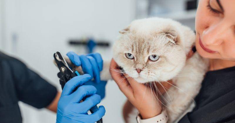 Freepik/artursafronovvvv